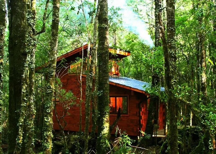 Cabanas Bosque Milenario