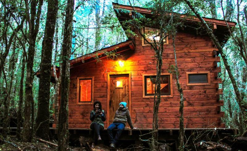 Bosque Milenario *