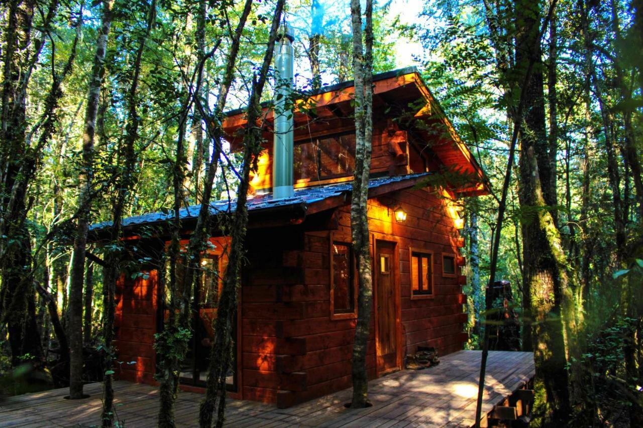 Bosque Milenario Coñaripe