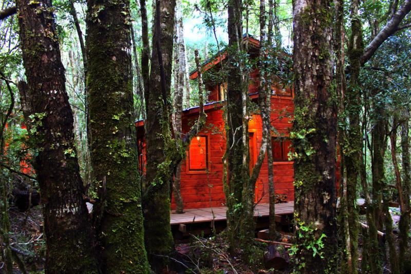 Bosque Milenario Alojamento