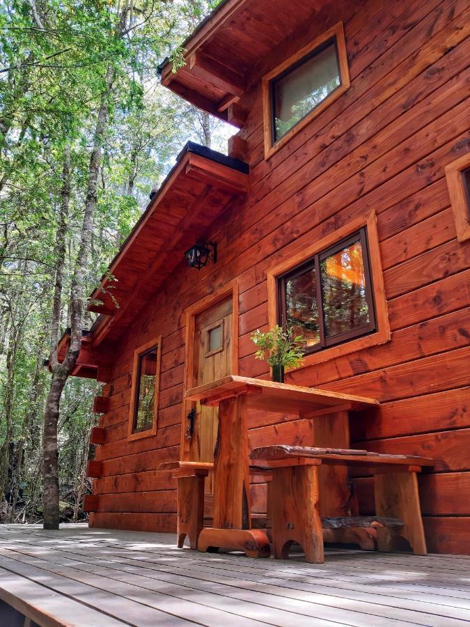 Bosque Milenario